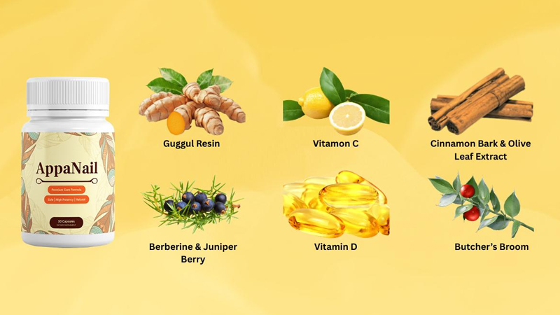 AppaNail uses nourishing topical ingredients to support nail hydration, strength, and surface health.