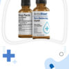 Arctic Blast Review 2026