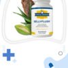 BellyFlush Review 2026