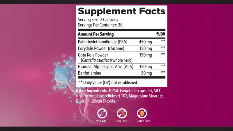 Key Ingredients In Nerve Armor