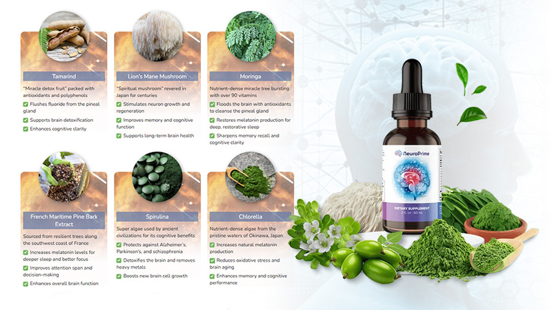 Visual representation of improved mental clarity and cognitive health with NeuroPrime.