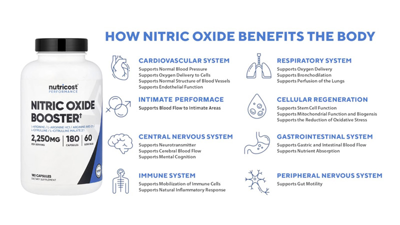 Nitric oxide boosters help blood vessels relax to improve blood flow, which may support stamina and workout pump.